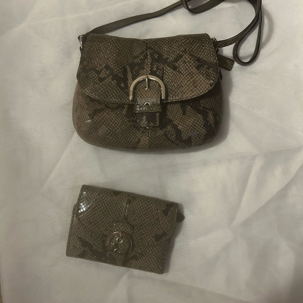 Designer-Inspired Brown Snake Print Crossbody Bag and matching wallet.